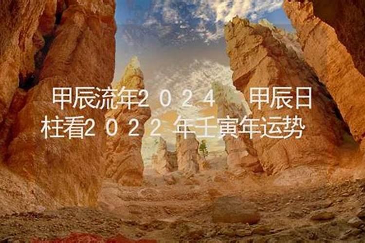 甲木2024壬寅年运势