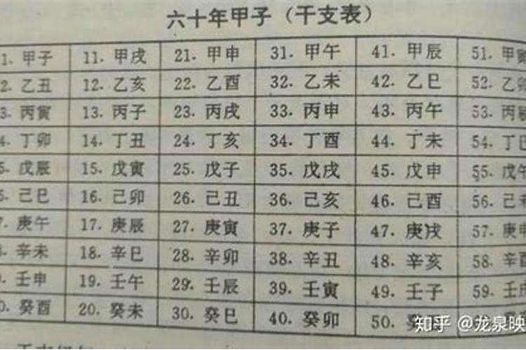 属鼠跟啥最配