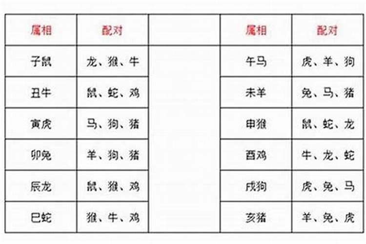 相刑属相婚配好吗