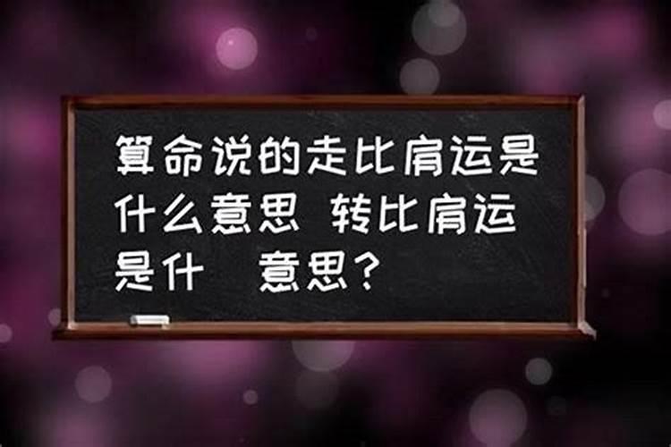 女命比肩坐比肩啥意思