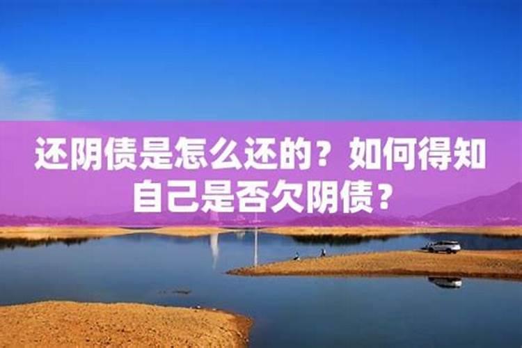 2024年犯太岁的4大生肖