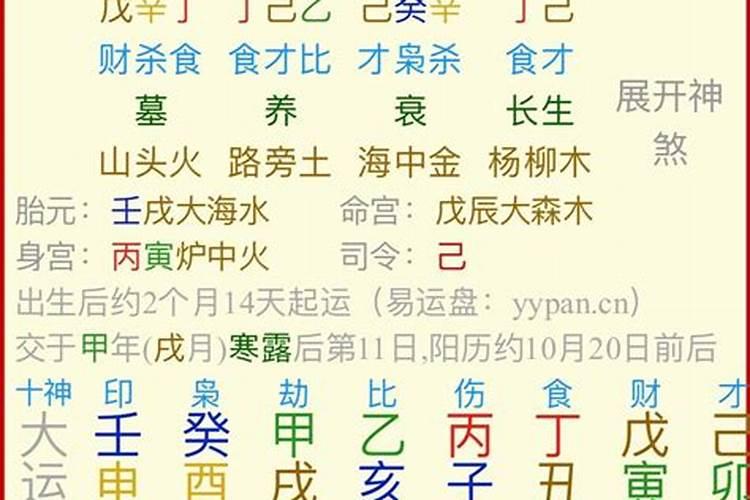 八字丁巳和什么合化