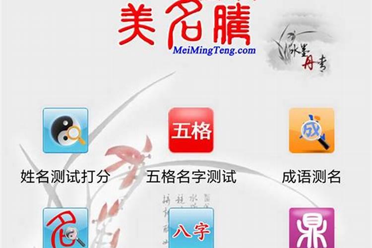 深度解析八字算命app