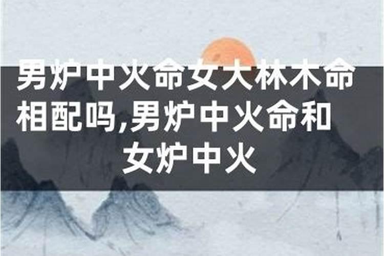 沙中土和大林木合婚吗