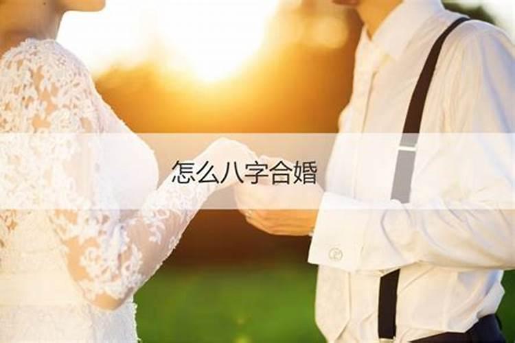 男鼠女鸡的婚姻会怎么样