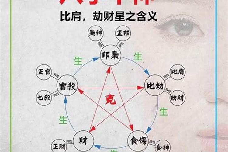 八字的十神是什么意思?看懂十神