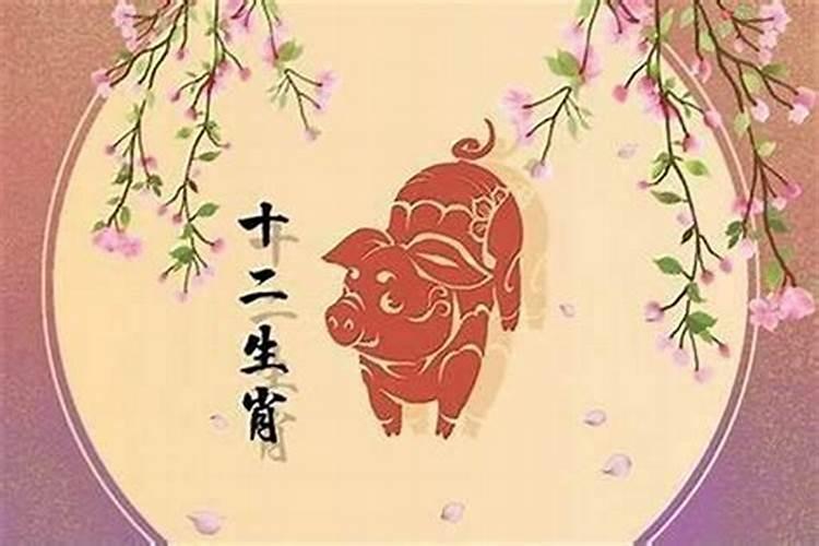 属猪今年犯太岁结婚好吗