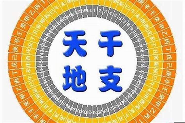 天干相合与地支相合的区别