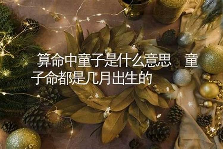 算命是童子附身是什么意思