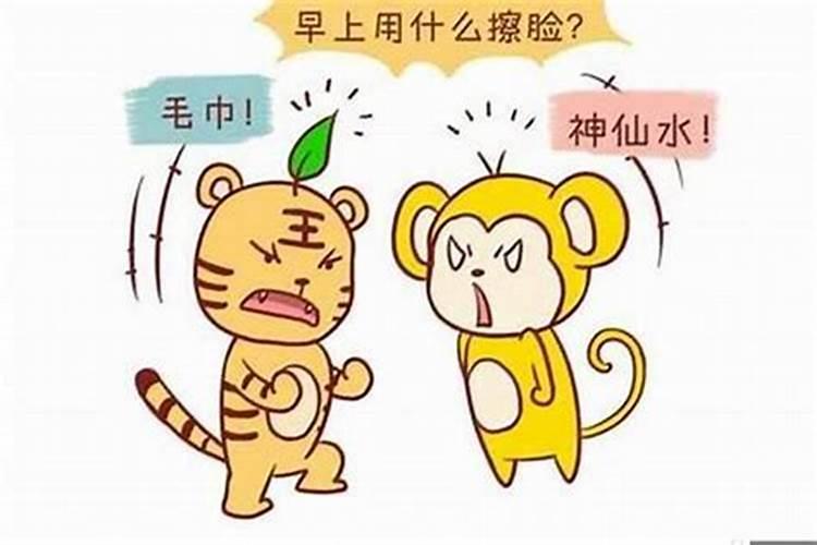 婚配属相男猪配女虎合适吗