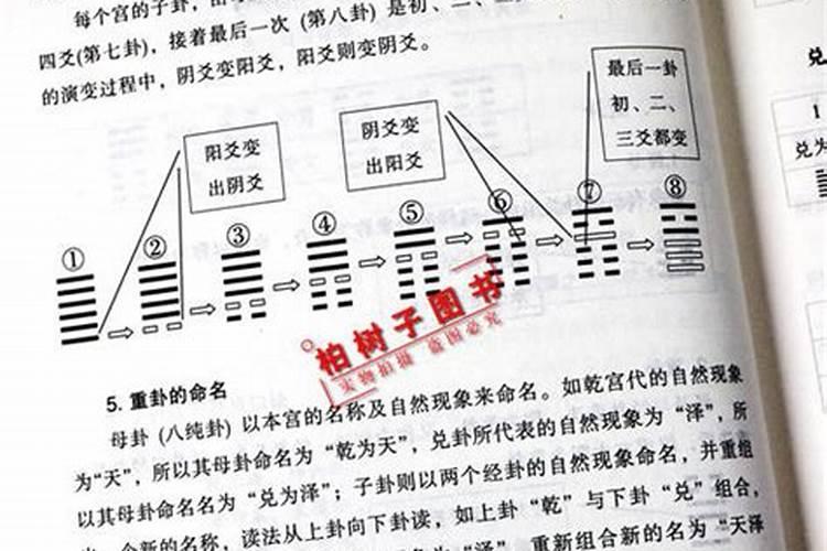 八字查兄弟姐妹几个怎么查