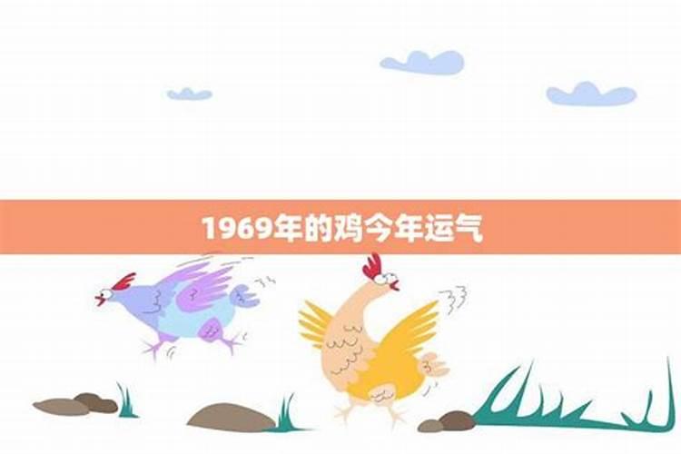 1969年的鸡今年的命运