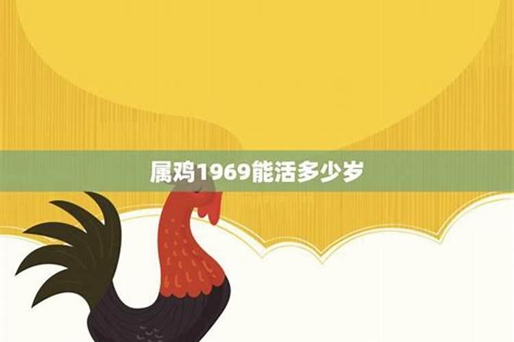 1969年的鸡今年的命运