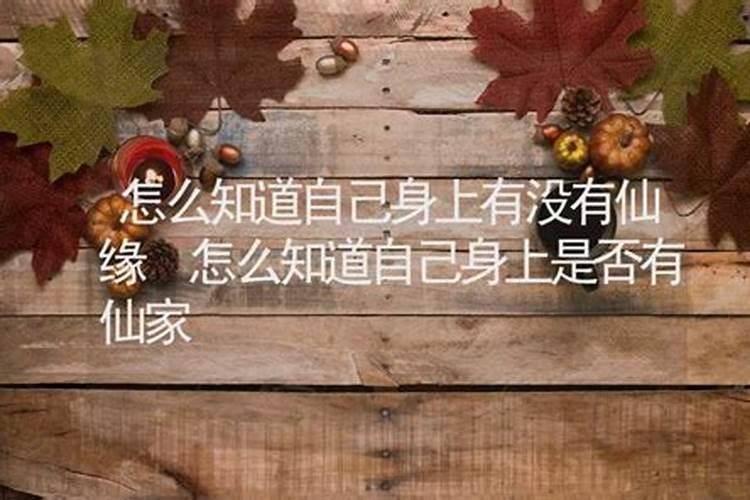 三清道人师傅是谁