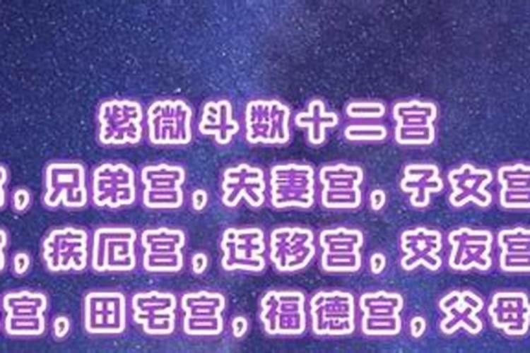 八字的夫妻星在哪