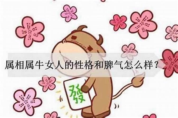 属猪人忌配什么属相