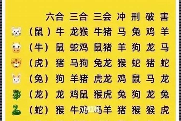 82数字代表什么生肖