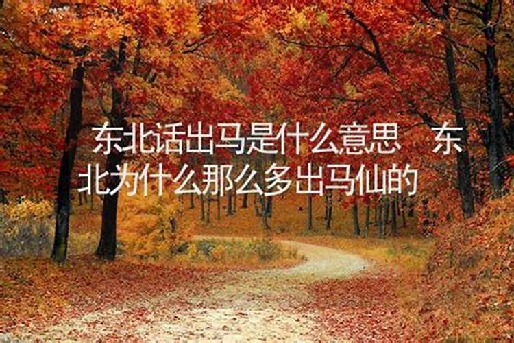 八字中的仙道是什么意思