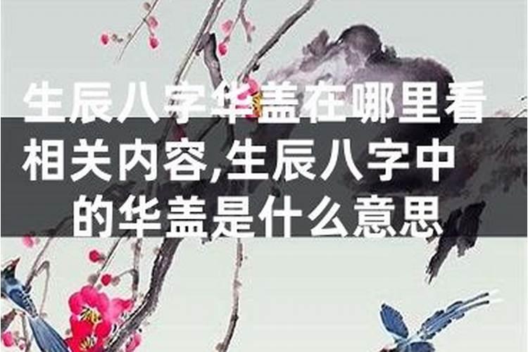 怎么知道命里带华盖