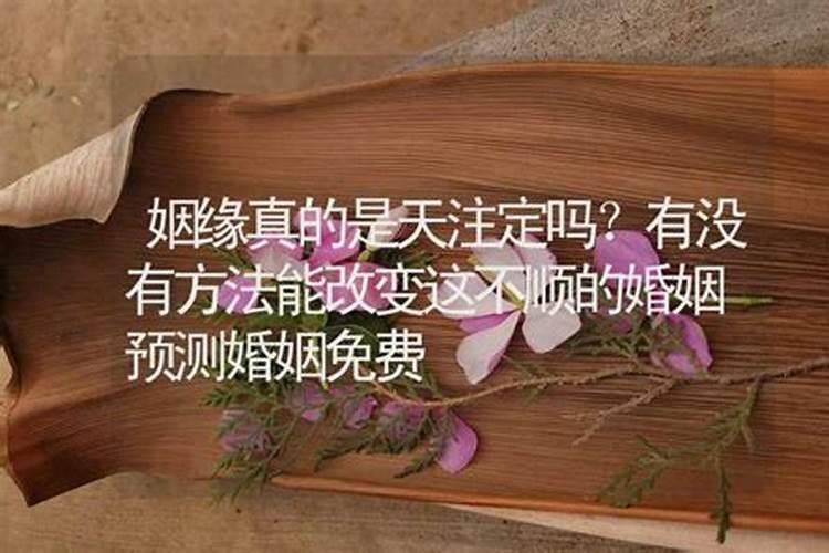 天付姻缘更和合指什么