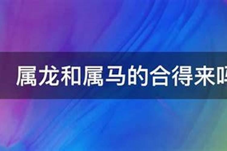 属马的和属龙的八字合吗