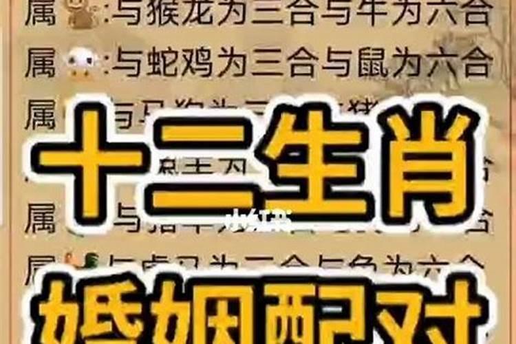 名字，生辰八字测试姻缘张燕芳女1992年9月22日16时零几分谢立茂