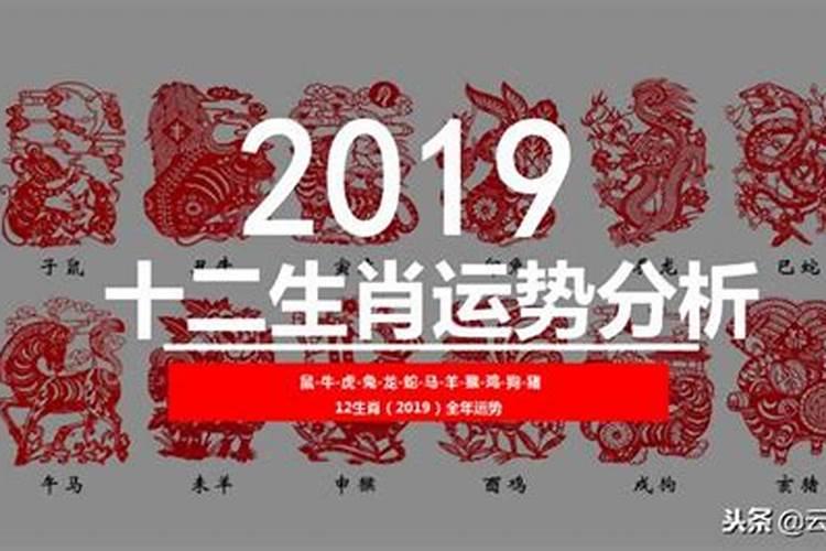 八字算今年运势