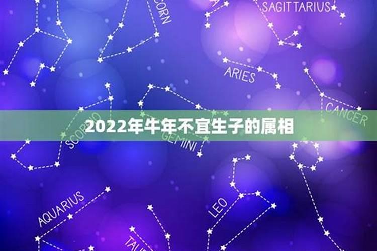 2026年不宜生子的生肖