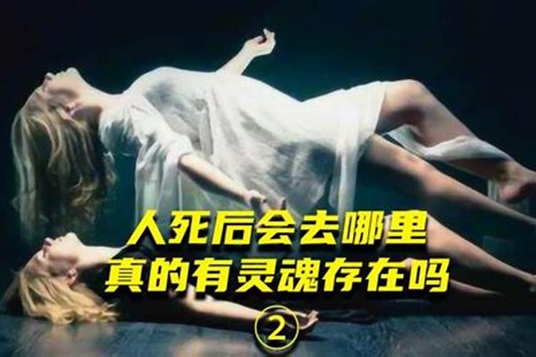 用之亡度的亡是什么意思