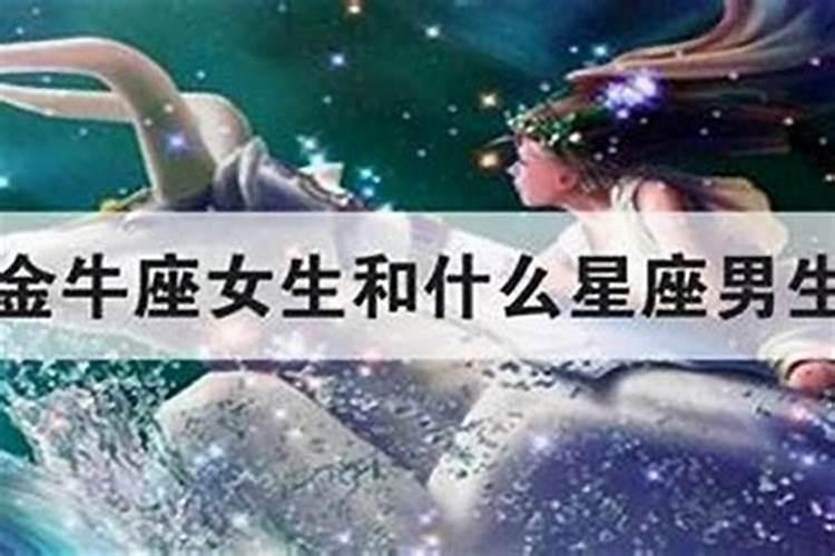 金牛座和处女座适合在一起吗