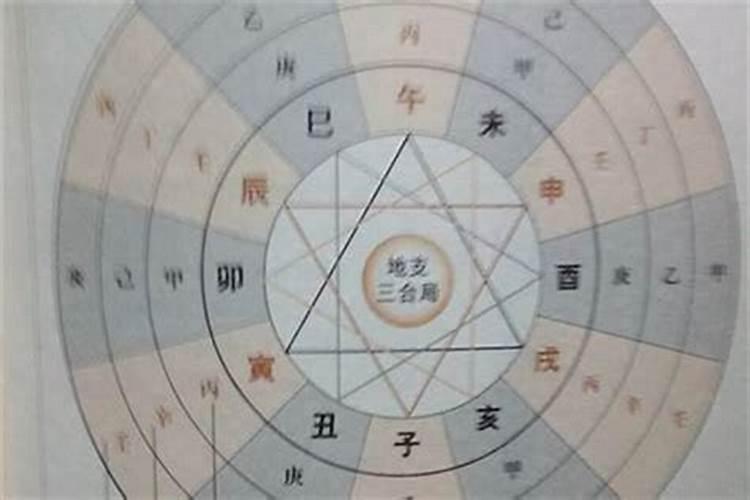 八字里巳和什么合