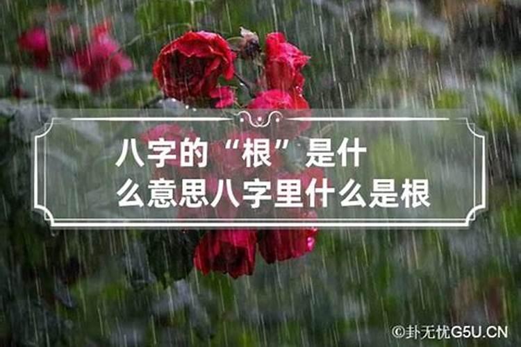 八字中怎么判断身旺身弱