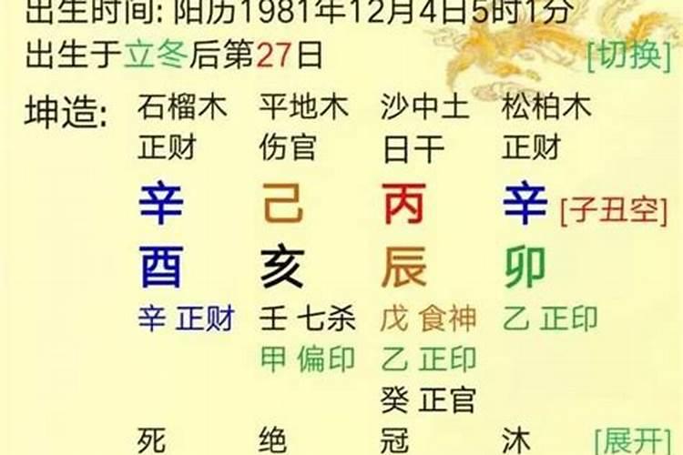 八字里的才是什么意思