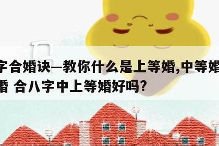 合婚说是中婚好吗