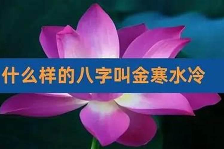 八字湿寒怎么办