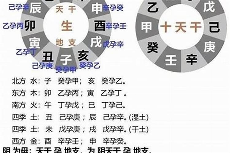 生辰八字日支怎么看