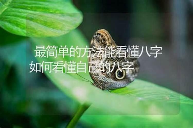 怎么简单看懂八字