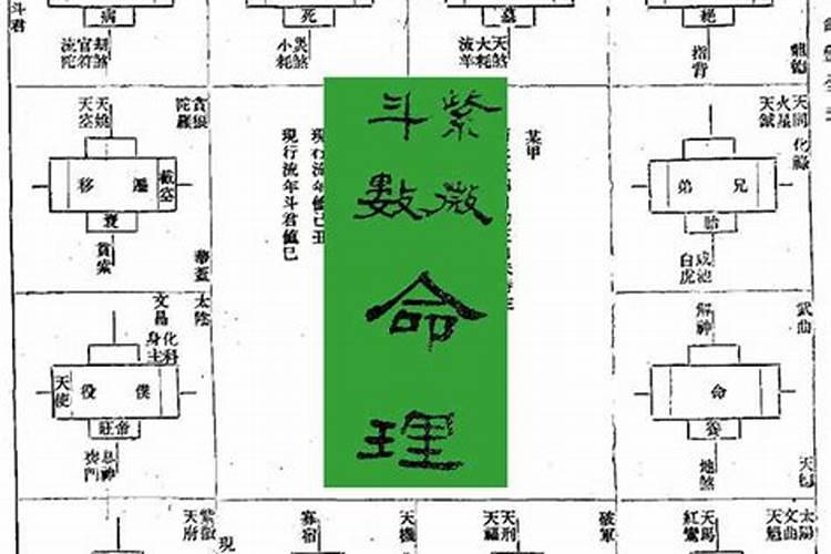 紫微斗数命理学正解一pdf