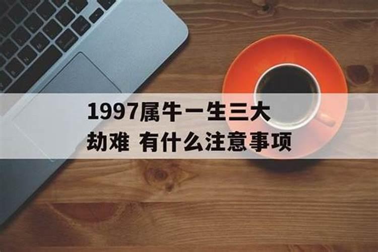 1997属牛一生三大劫难年龄