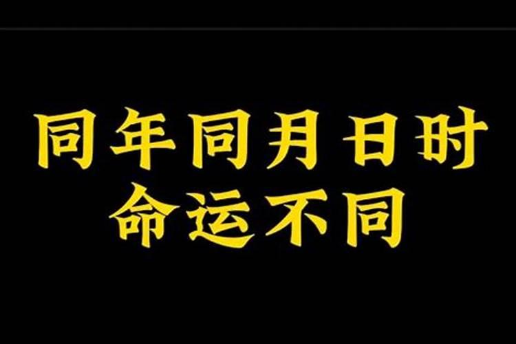 同年同月同日生八字合吗