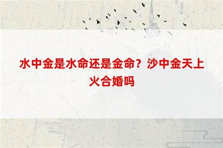 合婚是什么意思