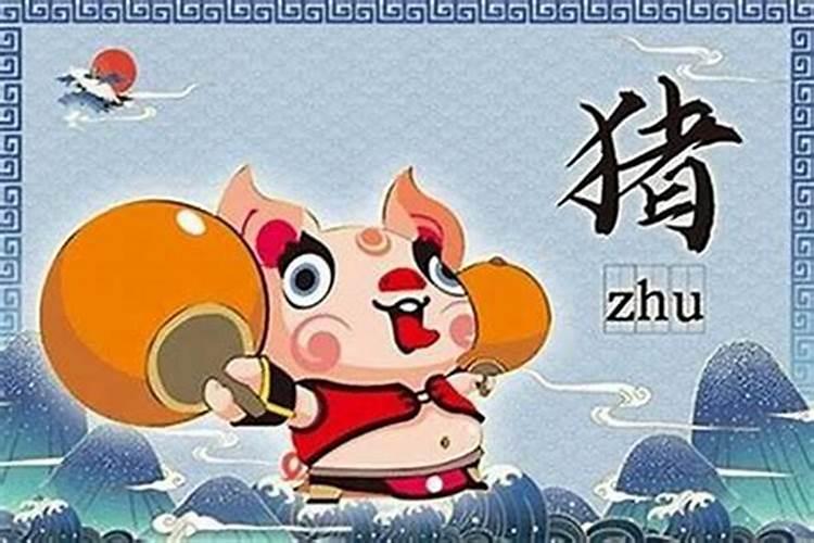 属猪2020年犯什么太岁