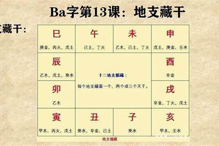 八字专业名词