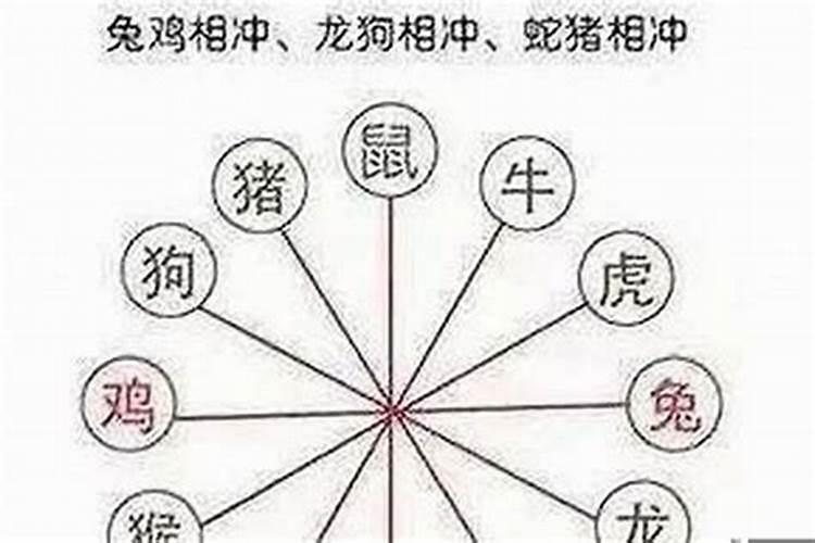 虎和什么属相不合婚