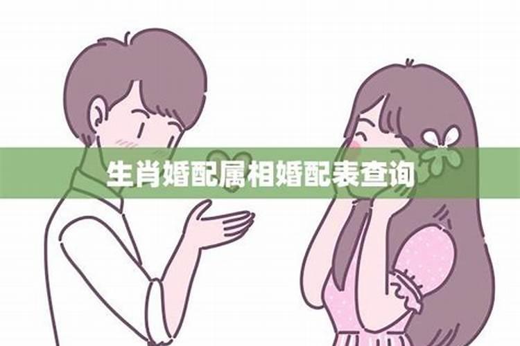 关于属相婚配