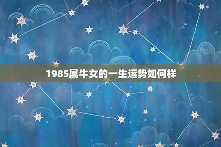 1985属牛一生的命运如何