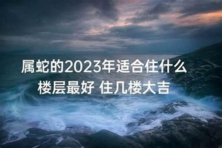 属蛇的人买楼房适合买几楼