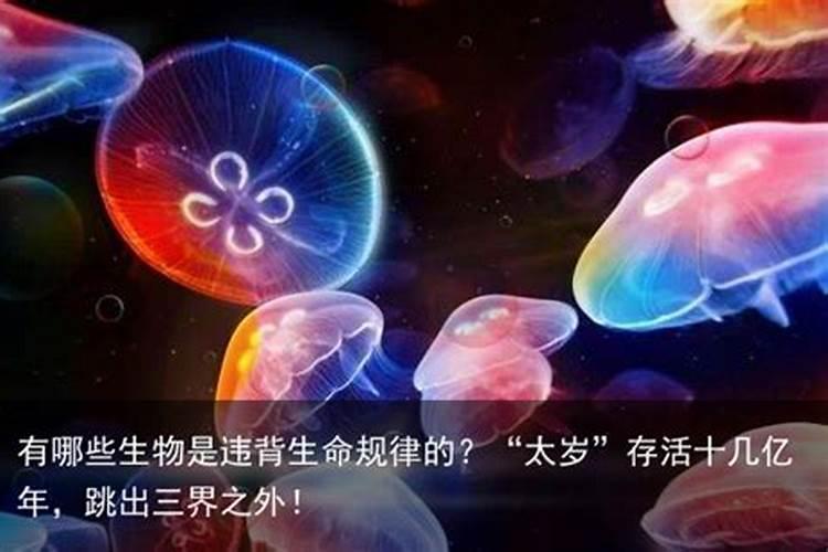 太岁的生物学和物种