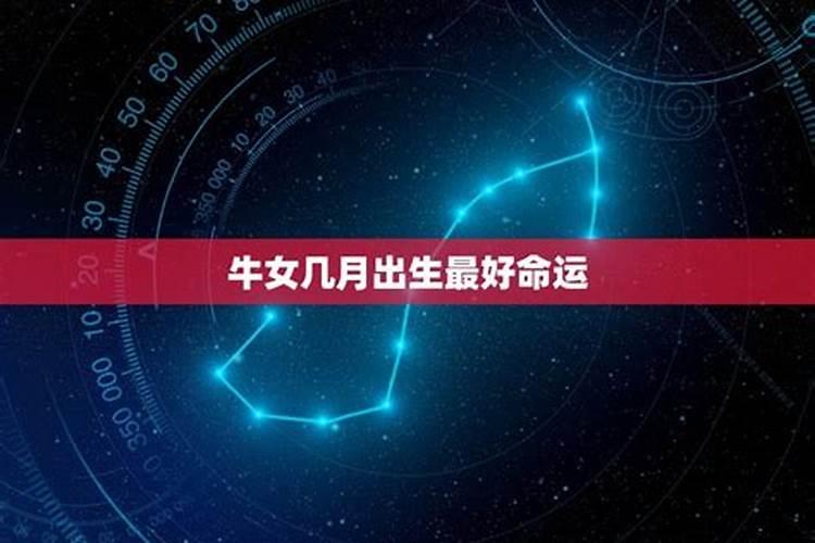 九一年的羊2024年运势