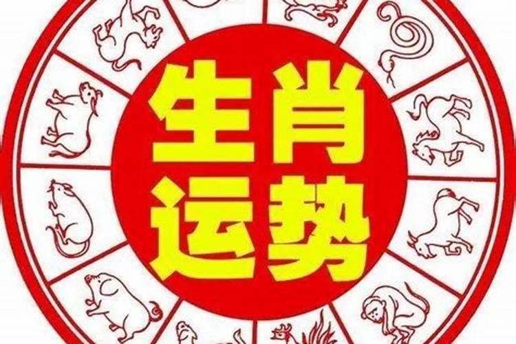 查看2021年的运势